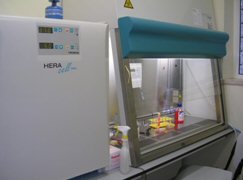 CO2 Incubators and Biohazard Cabinets.