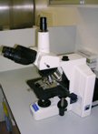 Conventional optical microscopes.
