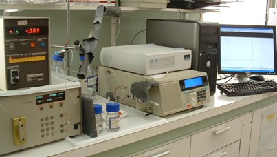 HPLC UV-vis and g-detectors (24 Kb).